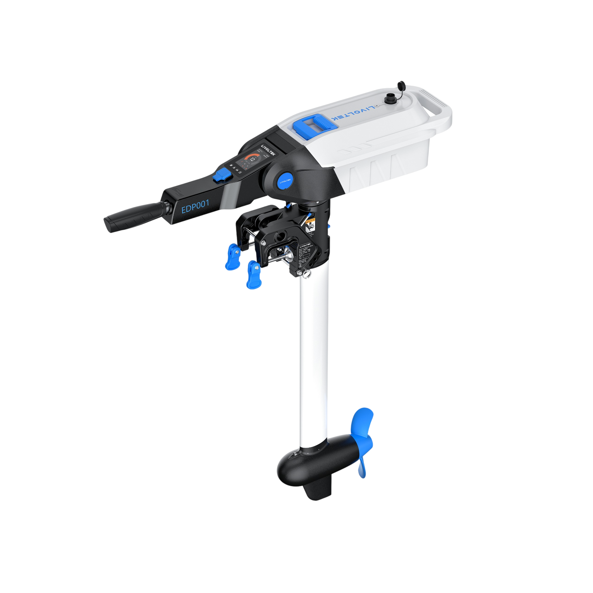 Motor Dolphin